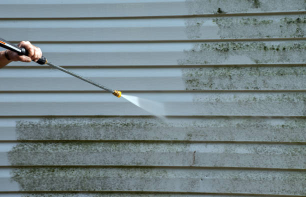 Best Pressure Washing Driveway  in St Martin, MS